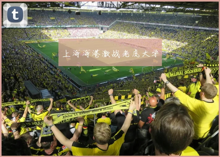 上海海港激战老虎大学