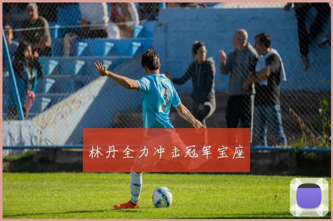 林丹全力冲击冠军宝座
