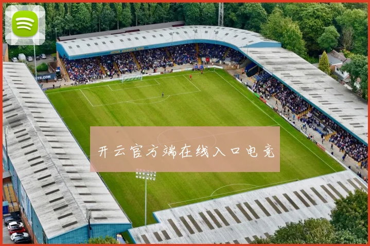 开云官方端在线入口电竞