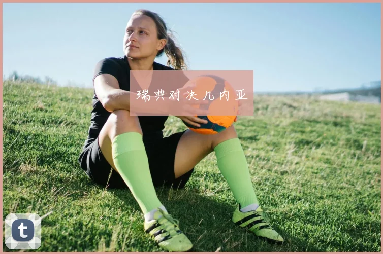 瑞典对决几内亚