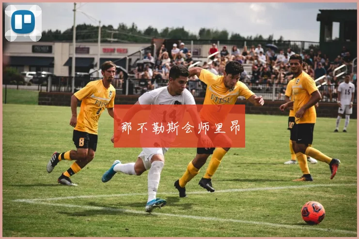 那不勒斯会师里昂