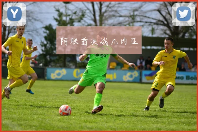 阿联酋决战几内亚