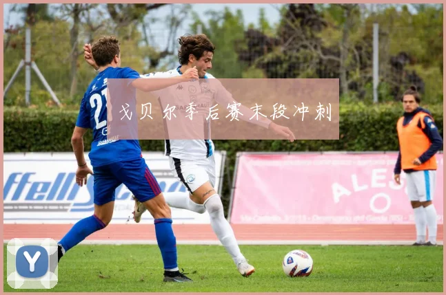 戈贝尔季后赛末段冲刺