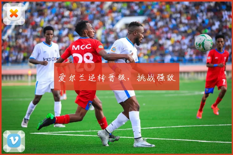 爱尔兰逆转晋级，挑战强敌