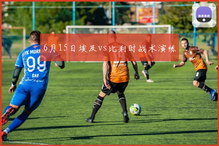 6月15日埃及vs比利时战术演练