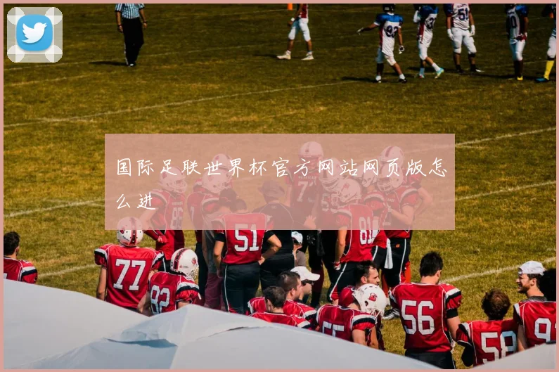 国际足联世界杯官方网站网页版怎么进