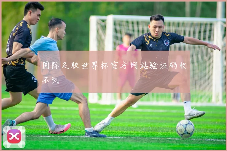 国际足联世界杯官方网站验证码收不到