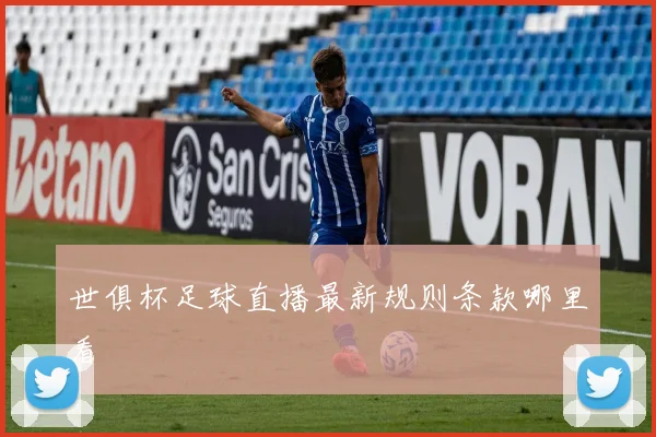 世俱杯足球直播最新规则条款哪里看