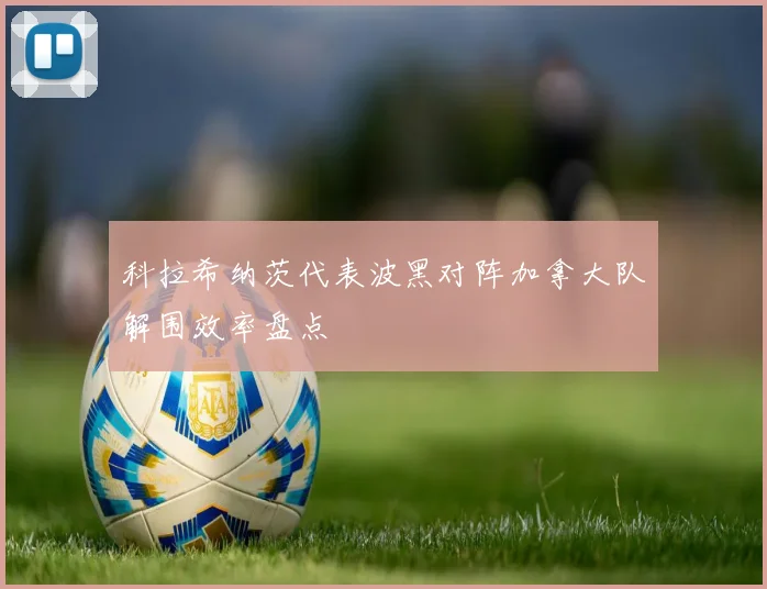 科拉希纳茨代表波黑对阵加拿大队解围效率盘点