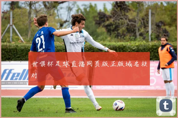 世俱杯足球直播网页版正版域名核对