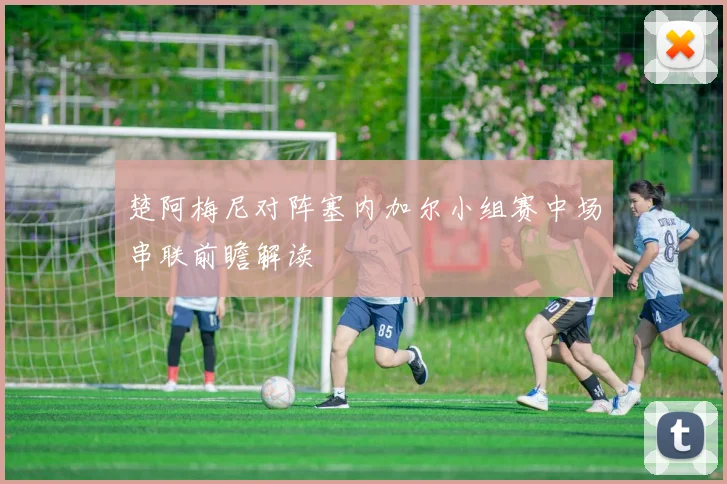 楚阿梅尼对阵塞内加尔小组赛中场串联前瞻解读