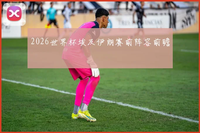 2026世界杯埃及伊朗赛前阵容前瞻